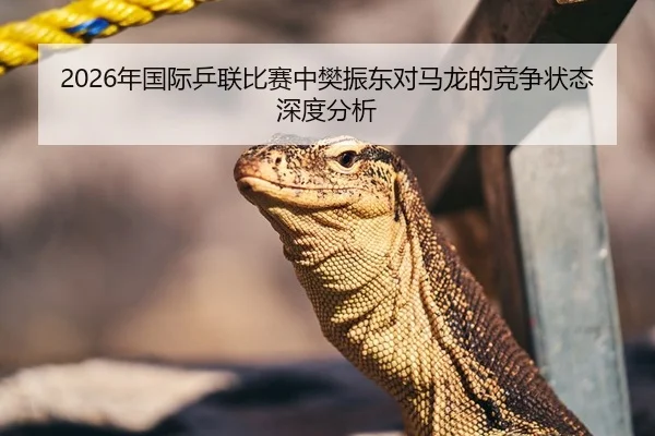 2026年国际乒联比赛中樊振东对马龙的竞争状态深度分析