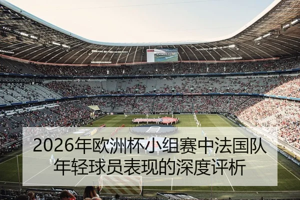 2026年欧洲杯小组赛中法国队年轻球员表现的深度评析