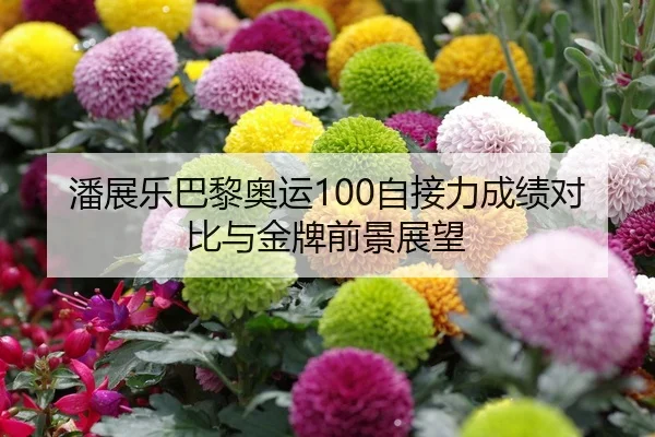 潘展乐巴黎奥运100自接力成绩对比与金牌前景展望