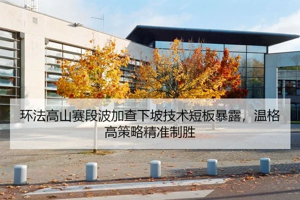 环法高山赛段波加查下坡技术短板暴露，温格高策略精准制胜