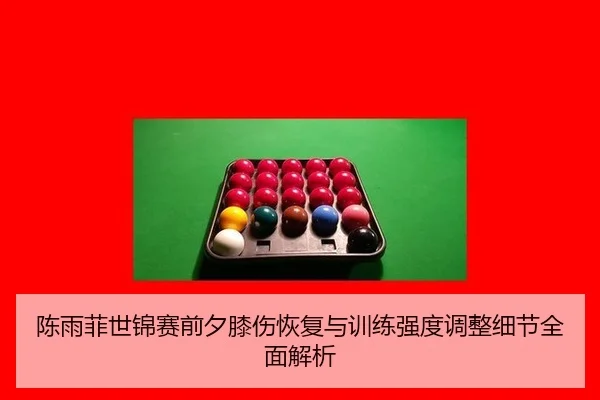 chen-yu-fei-shi-jin-sai-qian-xi-xi-shang-hui-fu-yu-xun-lian-qiang-du-tiao-zheng-xi-jie-quan-mian-jie-xi-2-979.jpg